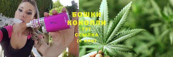 стафф Гусев