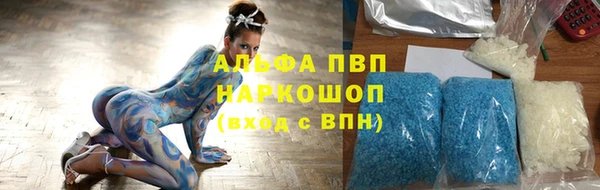 стафф Гусев