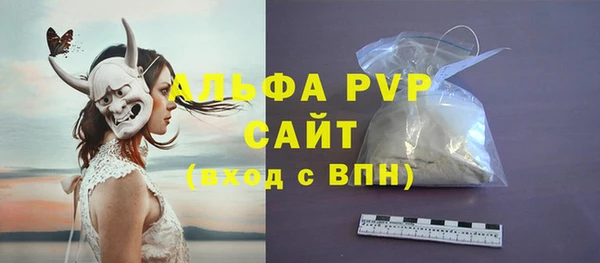 стафф Гусев