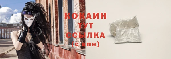 стафф Гусев