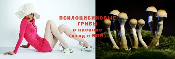 ALPHA PVP Гусиноозёрск