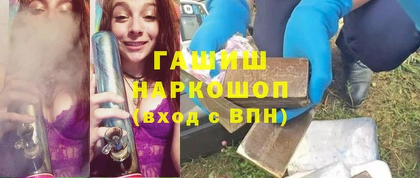 стафф Гусев