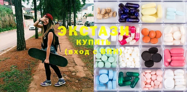 стафф Гусев