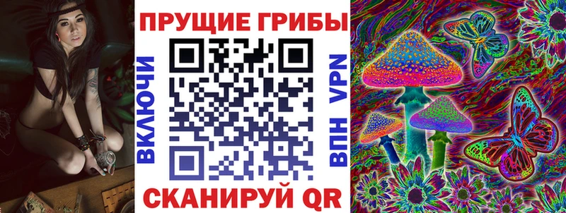 Купить закладки  Белореченск  Галлюциногенные грибы Psilocybine cubensis 