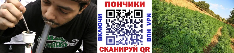 Канабис OG Kush  Купить закладки  Белореченск 